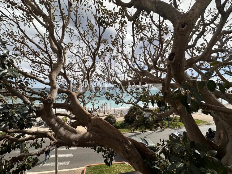 Dans résidence de luxe, deux pièces avec grande terrasse, belle vue mer, cave et parking en sous-sol