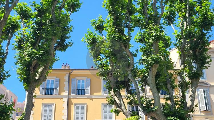 Menton Jardin Bioves - dernier étage - Appartement triple exposition