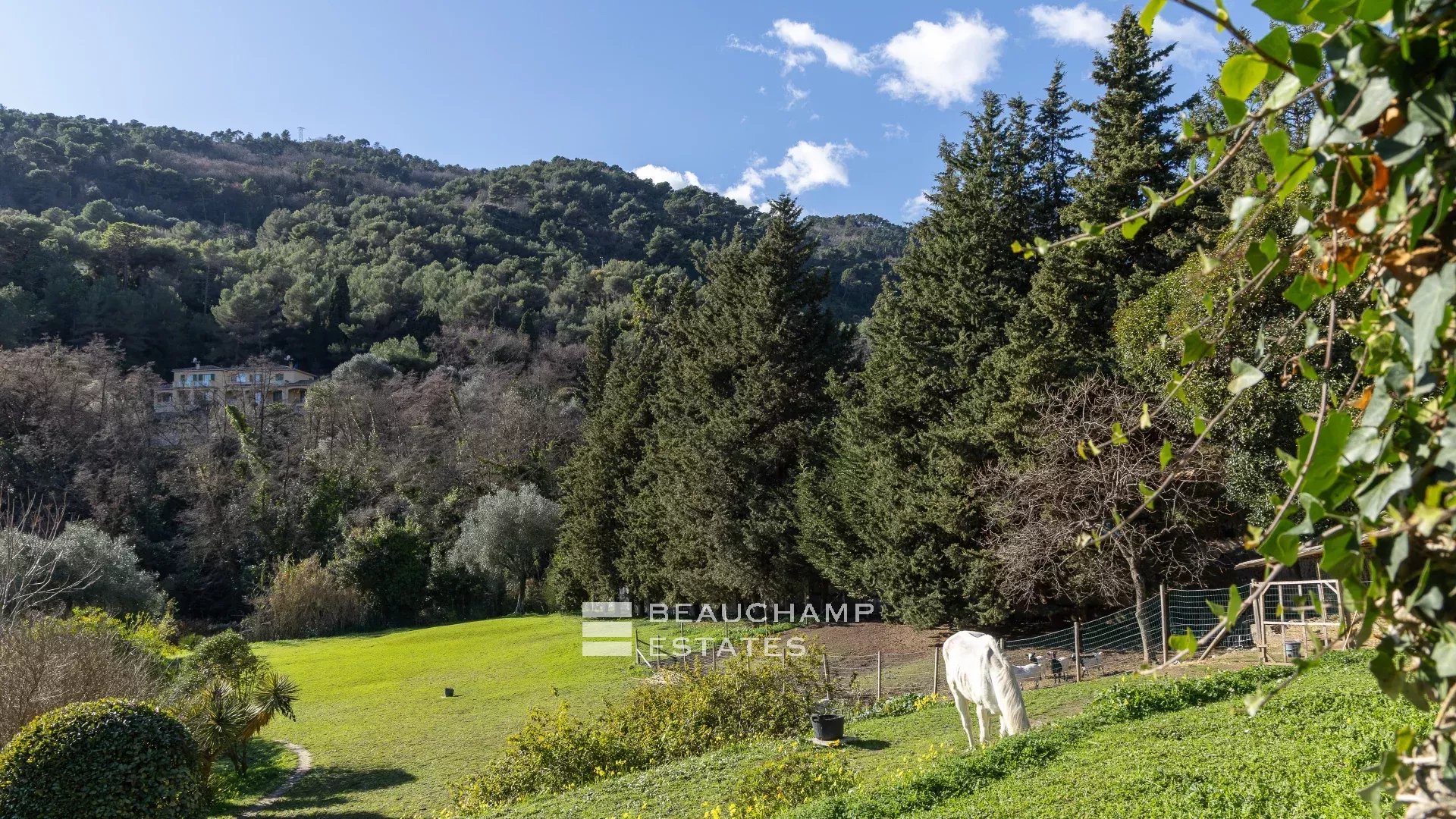 Villa palladienne avec vaste terrain - Menton
